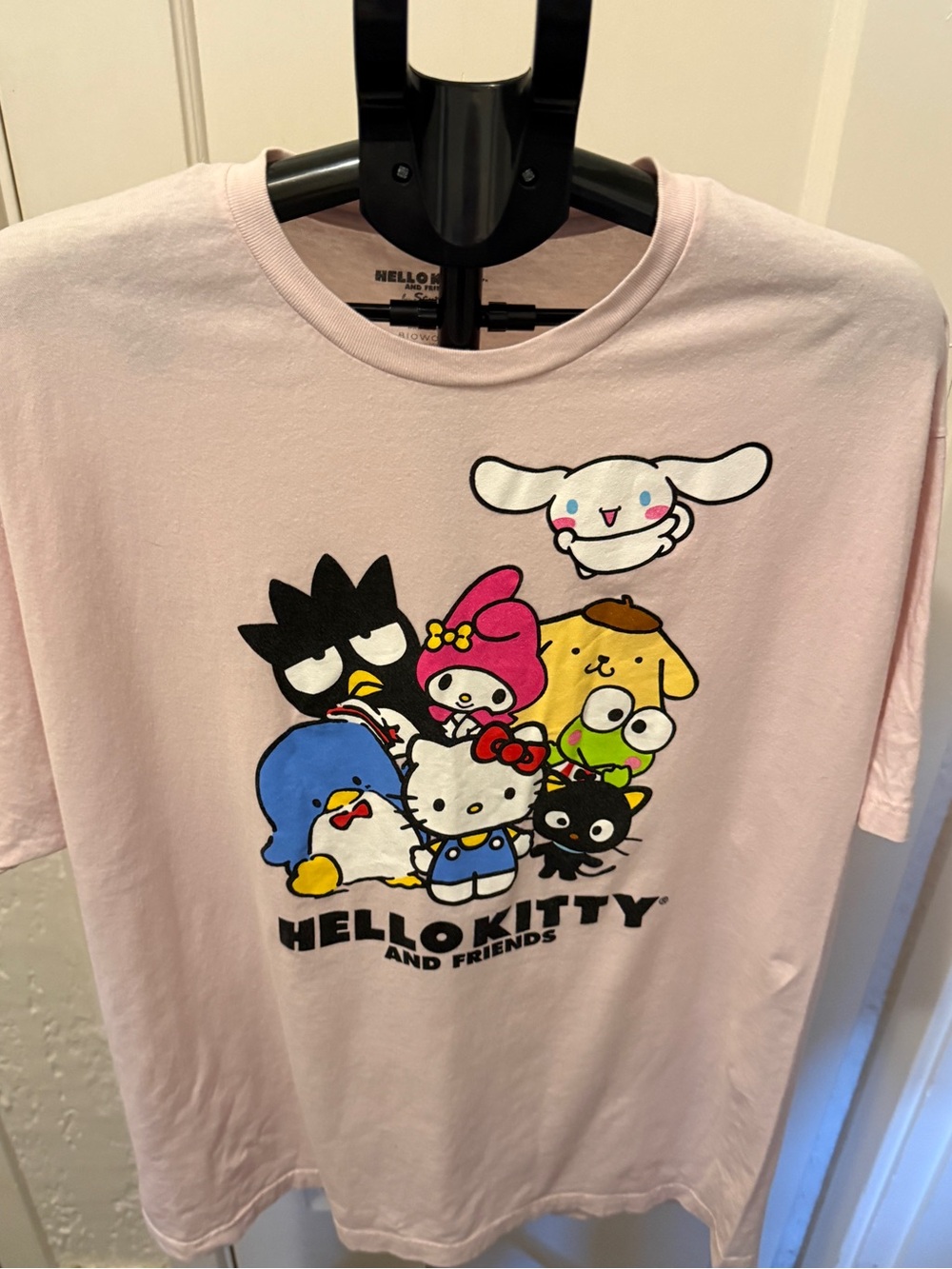 Hello Kitty unisex  Pink Graphic Tee - Hello Kitty and Friends